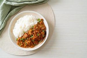 chicken tikka masala with rice on plate photo