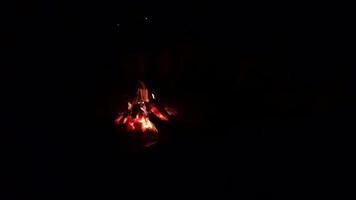 großes lagerfeuer mit funken und partikeln in dunkler waldzeitlupe video