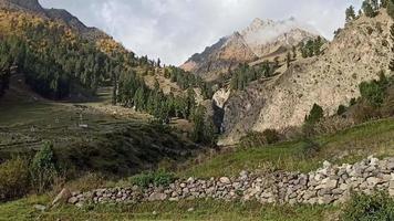 Valle de Naltar, Pakistán video