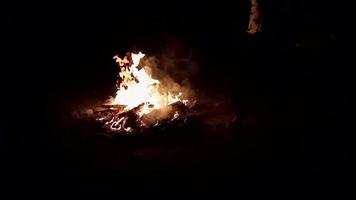 Big bonfire with sparks and particles in dark forest slow motion