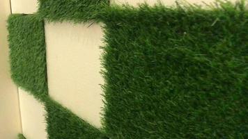 Fresh looking grass texture on studio wall video