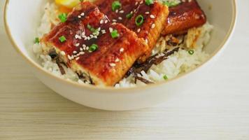 eel rice bowl or unagi rice bowl - Japanese food style video