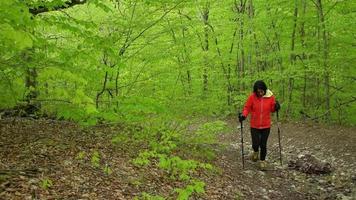 müde erschöpfte junge kaukasische frau auf waldweg geht im frühling im freien auf wochenendausflug in den wald bergauf. gesunder lebensstil, ausdauer und fit für das sommerkonzept video