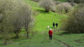 junge gruppe kaukasischer wanderer wandern im frühling auf dem grünen bergweg in der kaukasusregion berg ikvlivi. gesunder lebensstil und freizeitaktivitäten im frühling