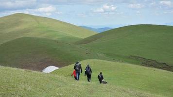 Young group of caucasian hikers hike in green mountains trail in caucasus region mount ikvlivi in springtime. Healthy lifestyle and leisure activities in spring time video