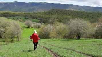 giovane gruppo di escursionisti caucasici escursione nel sentiero delle montagne verdi nella regione del caucaso monte ikvlivi in primavera. stile di vita sano e attività ricreative in primavera video