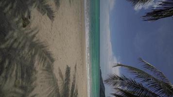 video vertical pov playa de arena oceánica y textura de la superficie del agua. olas espumosas con cielo y nubes. hermosa playa tropical y palmeras. increíble costa de arena con olas de mar blanco. concepto de naturaleza.