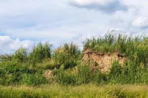 Weed grass on the mound and overcast clouds. photo