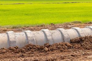 Concrete pipes stretching in the ground near the green rice fields.
