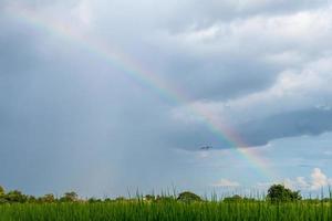 cielo nublado con arco iris sobre las hojas verdes. foto