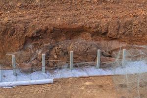 The soil collapses in a mesh sieve. photo