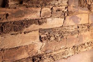 las viejas paredes de madera se han deteriorado debido a que comen termitas. foto