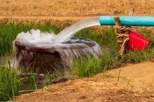 el agua fluye de las tuberías a una cuenca en los campos de arroz cerca del suelo árido. foto