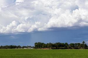 Overcast clouds in the sky above the trees that live in rural Thailand. photo