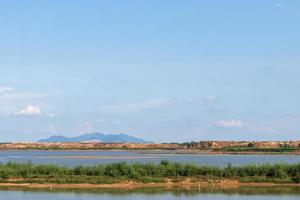 View the vast swamp and the dry mound. photo