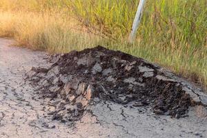 The paved road was demolished. photo