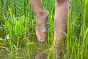 Girls feet with a pedicure close-up in the water, surrounded by dense vegetation photo