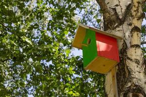 la caja de anidación cuelga de un árbol en el bosque de abedules, rodeada de hojas foto