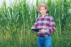 An Asian farmer in a plaid shirt stands in a field. photo