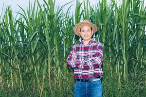 An Asian farmer in a plaid shirt stands in a field. photo