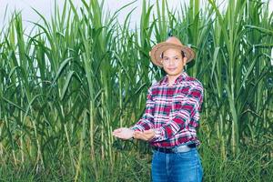 An Asian farmer in a plaid shirt stands in a field. photo