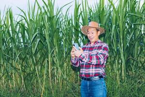 An Asian farmer in a plaid shirt stands in a field. photo