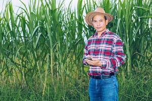 An Asian farmer in a plaid shirt stands in a field. photo