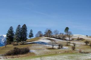 mountain and trees photo