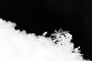 single snow crystal with black View photo