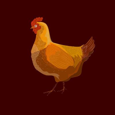 Hen Vector Art, Icons, and Graphics for Free Download