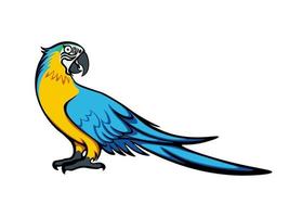 Happy cute cartoon macaw vector