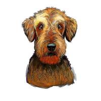 Airedale Terrier Dog Watercolor Hand Drawn Sketch Paint Drawing Illustration vector