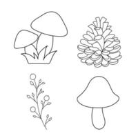 Vector hand drawn autumn elements. Cone, mushrooms, botanical branch. Outline illustration for coloring page isolated on white.