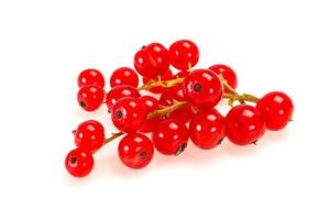 Sweet tasty fresh Red currant photo