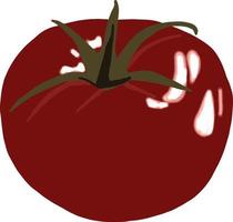 A red tomato without a background. Ripe tomato with highlights. Tomato with a green stalk. A picture of a tomato. vector