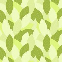 Pattern summer green leaf vector