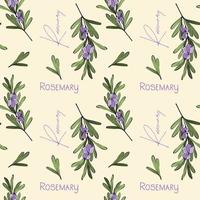 Rosemary Pattern flowers and lettering vector