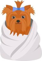 Clean dog in towel semi flat color vector element