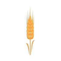 Golden ear of wheat, grains for making flour, baking bread and other food. Vector flat illustration