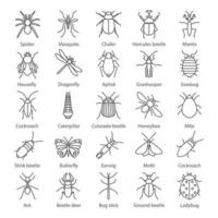 Insects linear icons set. Bugs. Entomologist collection. Thin line contour symbols. Butterfly, earwig, stag bug, phasmid, moth, ant, mantis, spider. Isolated vector outline illustrations