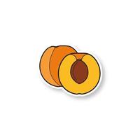 Apricot patch. Color sticker. Vector isolated illustration