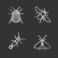 Insects chalk icons set. Colorado beetle, honey bee, earwig, moth. Isolated vector chalkboard illustrations