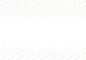 Honeycomb shape white Background have copy space, polygon white background, light and shadow on white paper background, Embossed Hexagon vector
