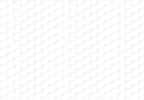 Honeycomb shape white Background, polygon white background, light and shadow on white paper background, Embossed Hexagon vector