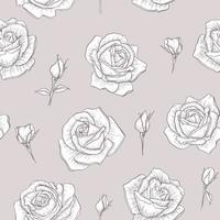 Seamless pattern with sketch flowers. Rose for wedding invitation, greeting card, package, T shirt, label and other.