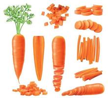 colección de iconos de zanahoria realista vector