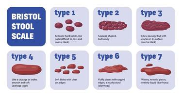 Bristol Stool Scale Composition vector