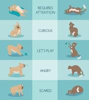 composición del lenguaje corporal de las mascotas