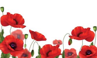 Red Poppies Flowers Realistic Composition vector