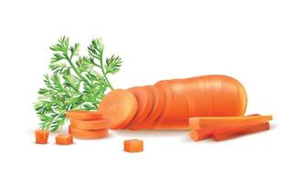 Realistic Carrot Sliced Composition vector